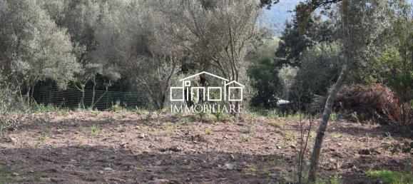 Terrain à Loiri Porto San Paolo, Italy 1488m² No. 117329 9