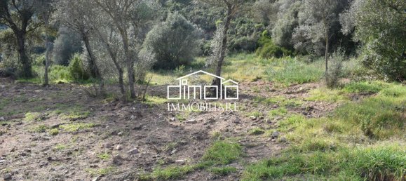 Terrain à Loiri Porto San Paolo, Italy 1488m² No. 117329 4