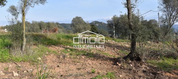 Terrain à Loiri Porto San Paolo, Italy 1488m² No. 117329 6