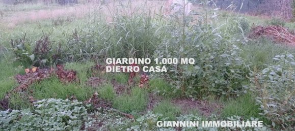 4 bedrooms House in Capannori, Italy No. 104367 6