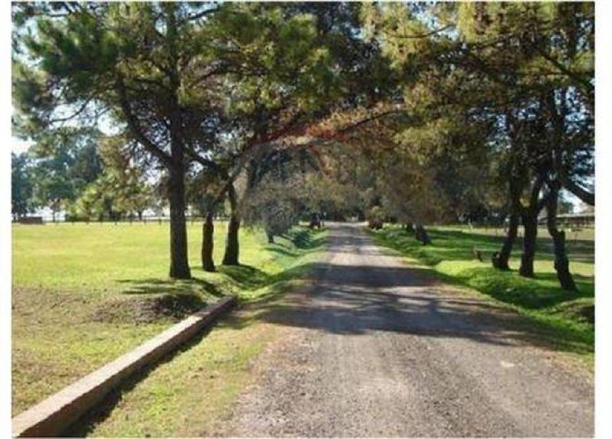  Land in Buenos Aires, Argentina No. 114664