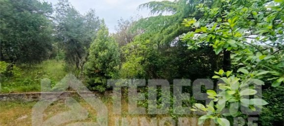 8-Zimmer Haus in Buonalbergo, Italy, Nr. 301655 11