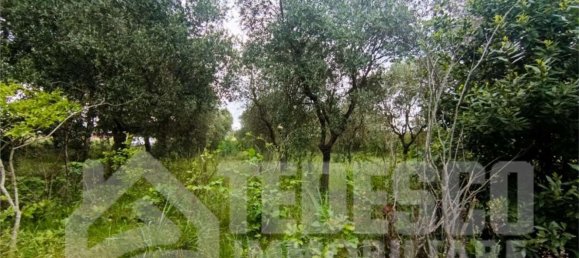 8-Zimmer Haus in Buonalbergo, Italy, Nr. 301655 24