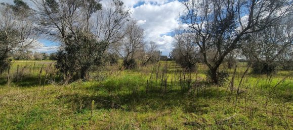 Casa de 7 habitaciónes en Ruffano, Italy No. 80474 18