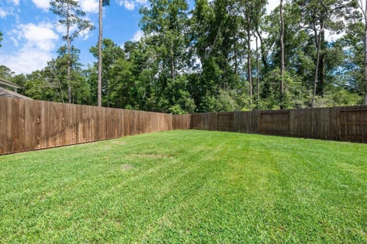 3 bedrooms House in Conroe, USA No. 373393