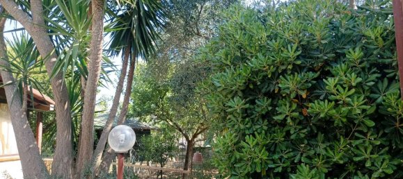 Villa de 4 habitaciónes en Trani, Italy No. 5669 18