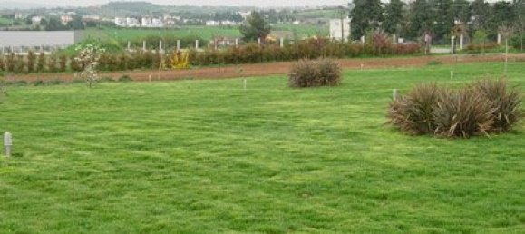 Вилла с 6 спальнями в Термаикос, Греция № 8163 5