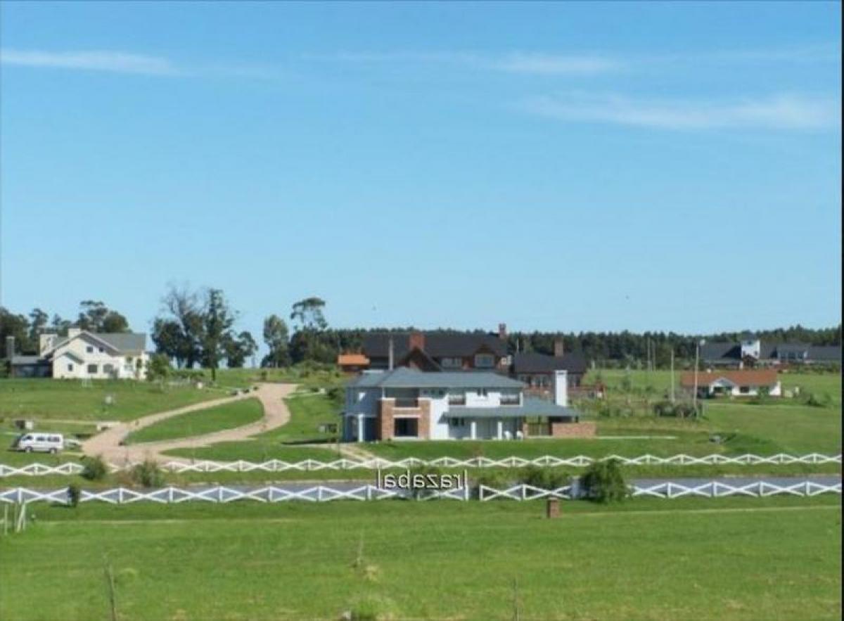  قطعة أرض في Montevideo, Uruguay رقم 14621