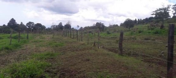 Grundstück in Santa Barbara, Costa Rica, Nr. 1392 4