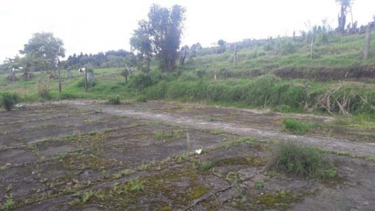 Grundstück in Santa Barbara, Costa Rica, Nr. 1392