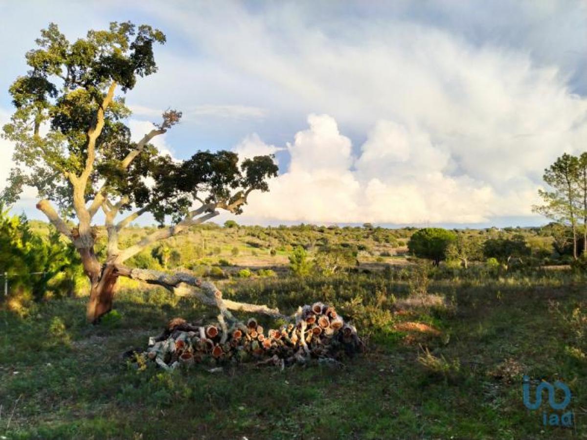 Terreno en Lagos, Portugal No. 8581