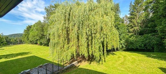 5 غرف نوم منزل في Alberndorf in der Riedmark, Austria رقم 173203 7