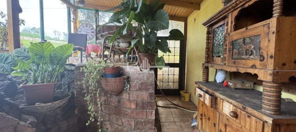 6غرفة منزل في Wilhering, Austria رقم 51258 11