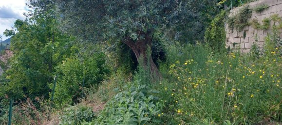 8 Schlafzimmer Haus in Pennapiedimonte, Italy, Nr. 328317 20