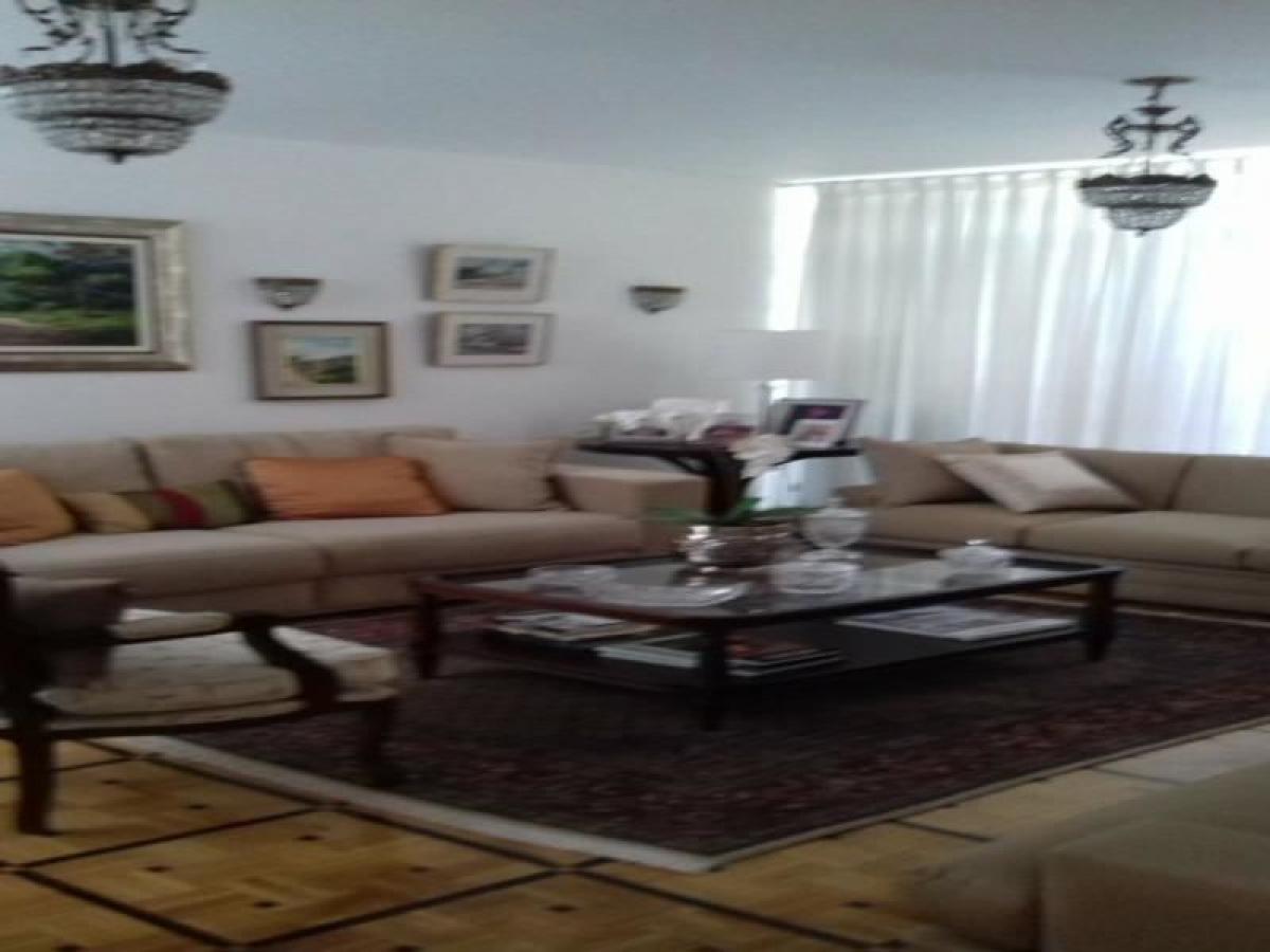 Studio in Florianopolis, Brazil No. 513826