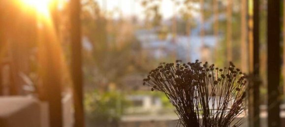 44m² Apartment in District 7, Vietnam No. 19451 4