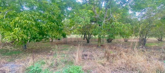 5400m² Land in Nola, Italy No. 344472 4