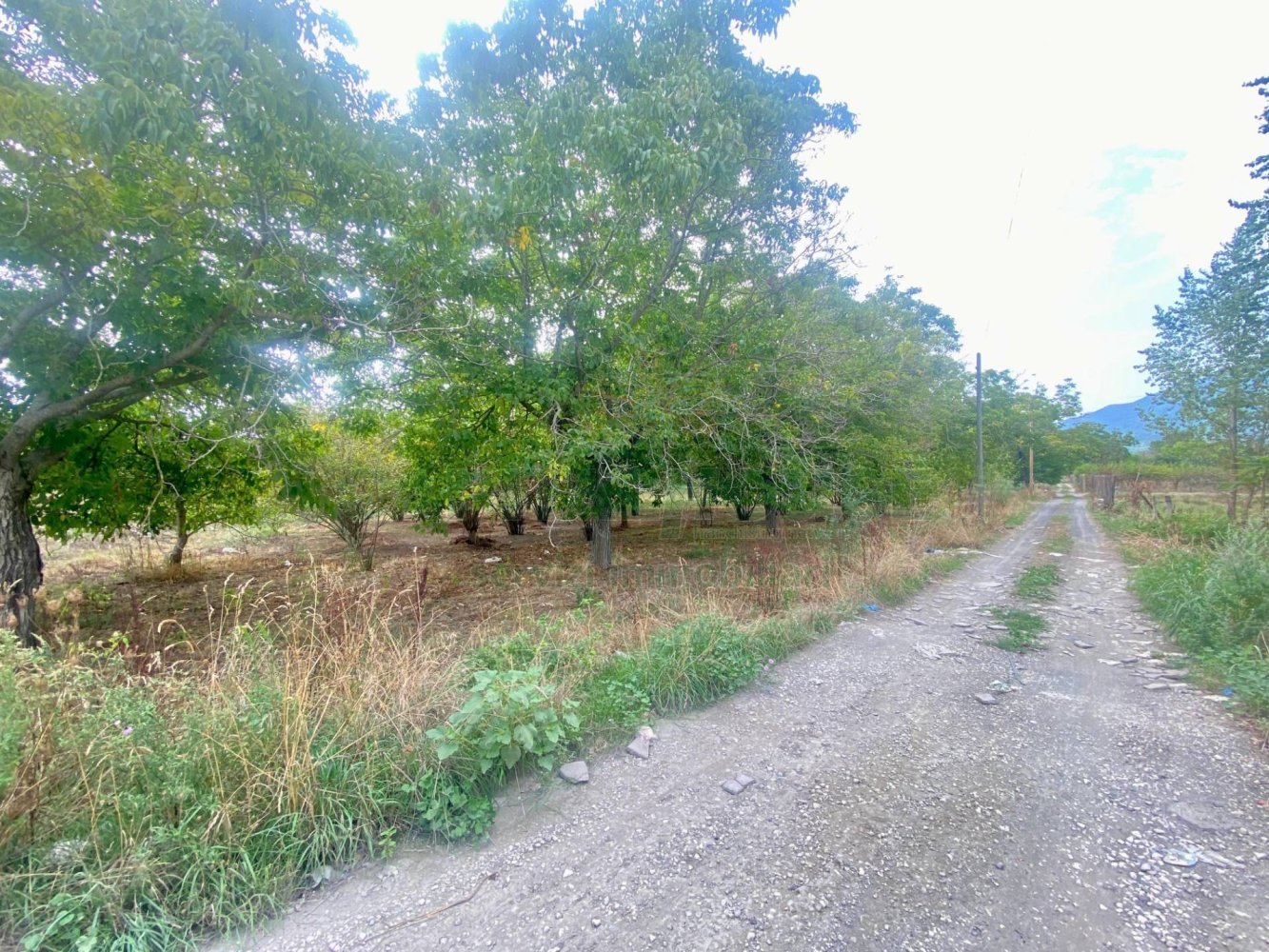 5400m² Land in Nola, Italy No. 344472