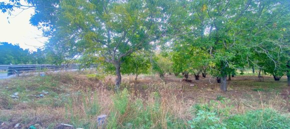 5400m² Land in Nola, Italy No. 344472 7