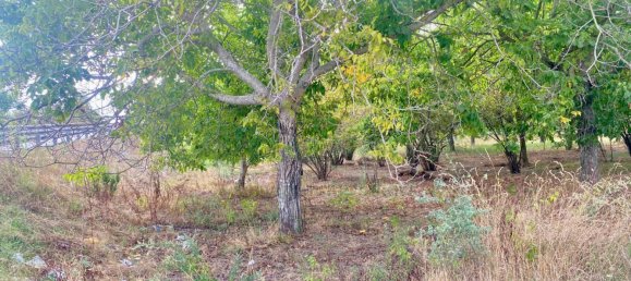 5400m² Land in Nola, Italy No. 344472 6