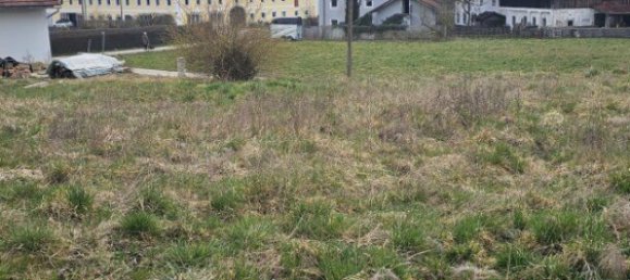  Land in Buchkirchen, Austria No. 130750 5