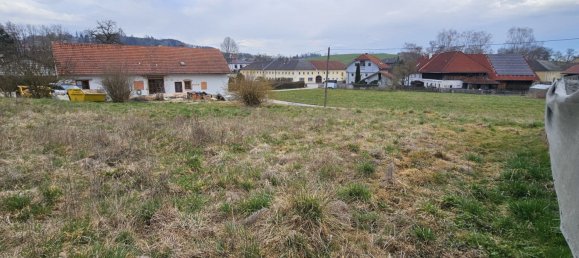  Land in Buchkirchen, Austria No. 130750 8