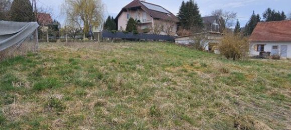  Land in Buchkirchen, Austria No. 130750 10