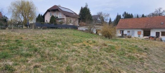  Land in Buchkirchen, Austria No. 130750 9