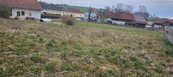  Land in Buchkirchen, Austria No. 130750 6