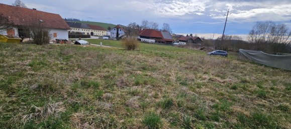 Land in Buchkirchen, Austria No. 130750 2