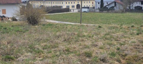  Land in Buchkirchen, Austria No. 130750 7