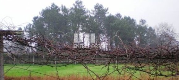 قطعة أرض في Viana do Castelo, Portugal 3580متر مربع رقم 67042 3