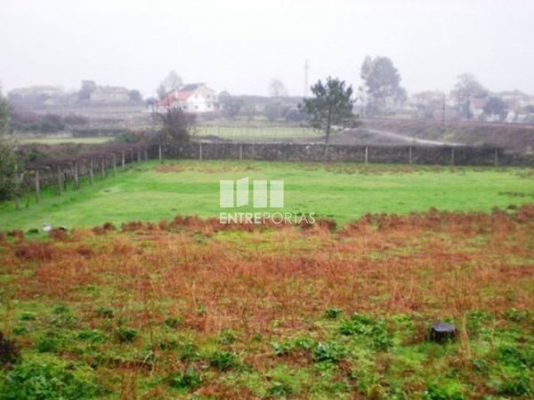  قطعة أرض في Viana do Castelo, Portugal 3580متر مربع رقم 67042