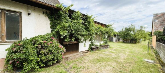 Дом с 7 комнатами в Шахендорф, Австрия № 128286 5