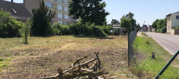 Terreno em Anhalt-Bitterfeld, Germany N.º 271241 4