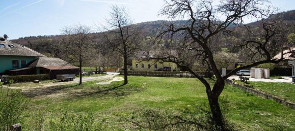 140m² Land in Heiligenkreuz, Austria No. 230725 9