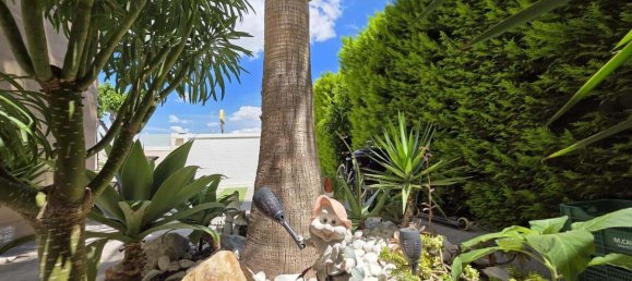 3 Schlafzimmer Haus in Alicante, Spain, Nr. 187989 8