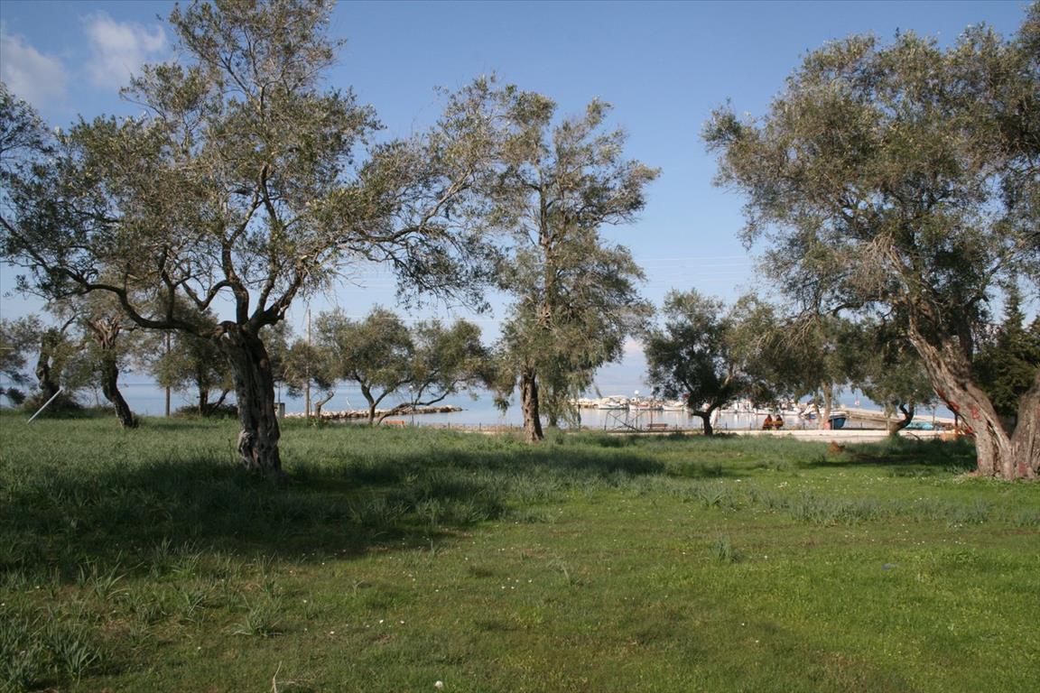 Hotel in Corfu, Greece 21083m², Nr. 5466