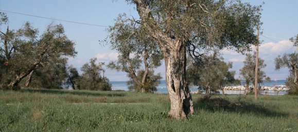 21083m² Hotel in Corfu, Greece No. 5466 6