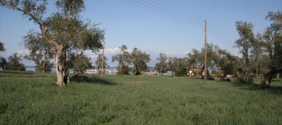 21083m² Hotel in Corfu, Greece No. 5466 8