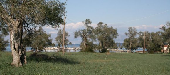Hotel in Corfu, Greece 21083m², Nr. 5466 7