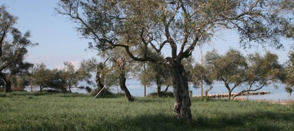 21083m² Hotel in Corfu, Greece No. 5466 10