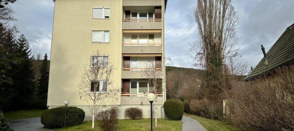 2-salle Appartement à Baden, Austria No. 185114 13