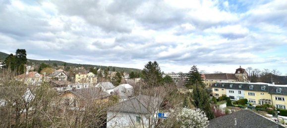 2-salle Appartement à Baden, Austria No. 185114 12