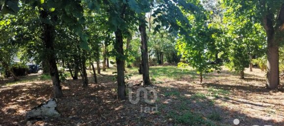 3 chambres Maison à Vereaux, France No. 254266 6