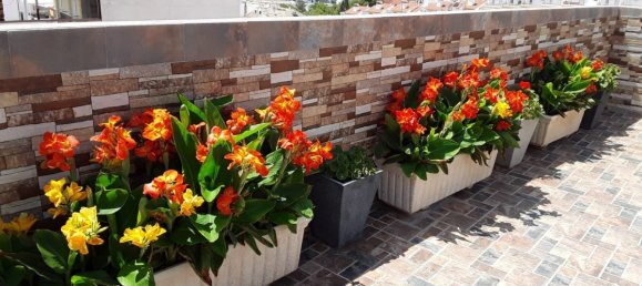 8 bedrooms Apartment in Benalmadena, Spain No. 127814 38