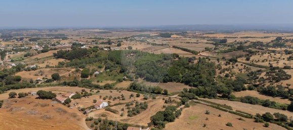 3 Schlafzimmer Haus in Santiago do Cacem, Portugal, Nr. 268807 35