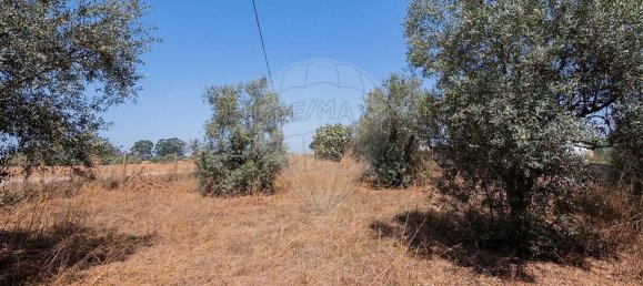 3 Schlafzimmer Haus in Santiago do Cacem, Portugal, Nr. 268807 27