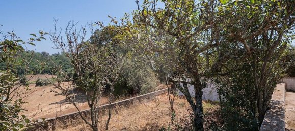 3 Schlafzimmer Haus in Santiago do Cacem, Portugal, Nr. 268807 40