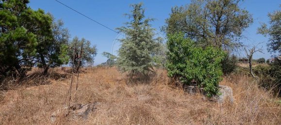 3 Schlafzimmer Haus in Santiago do Cacem, Portugal, Nr. 268807 42